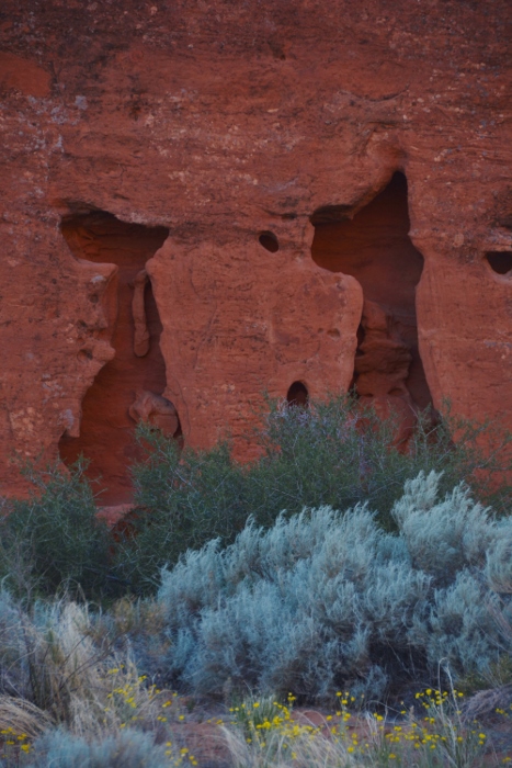 formation of cats in the rock